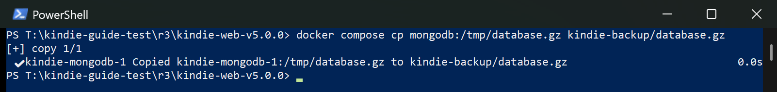 Backup: copy the database out