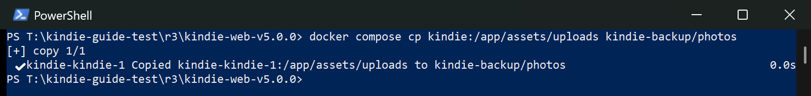 Backup: copy the photos