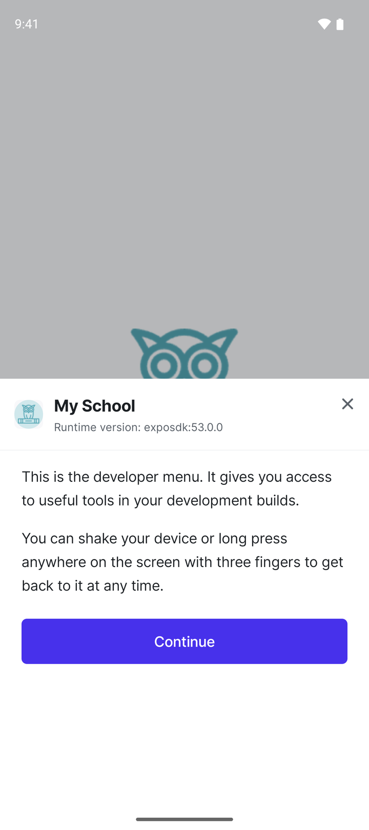 First launch: Expo's developer menu introduction with a Continue button.