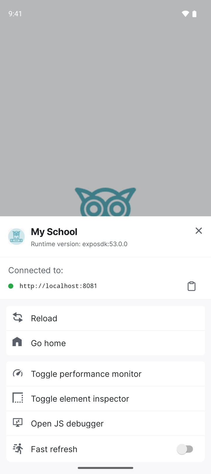The developer menu, connected to the code server. Close it with the X.