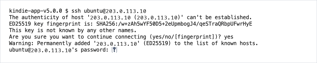 After yes, the window asks for the password. Nothing appears while you type.