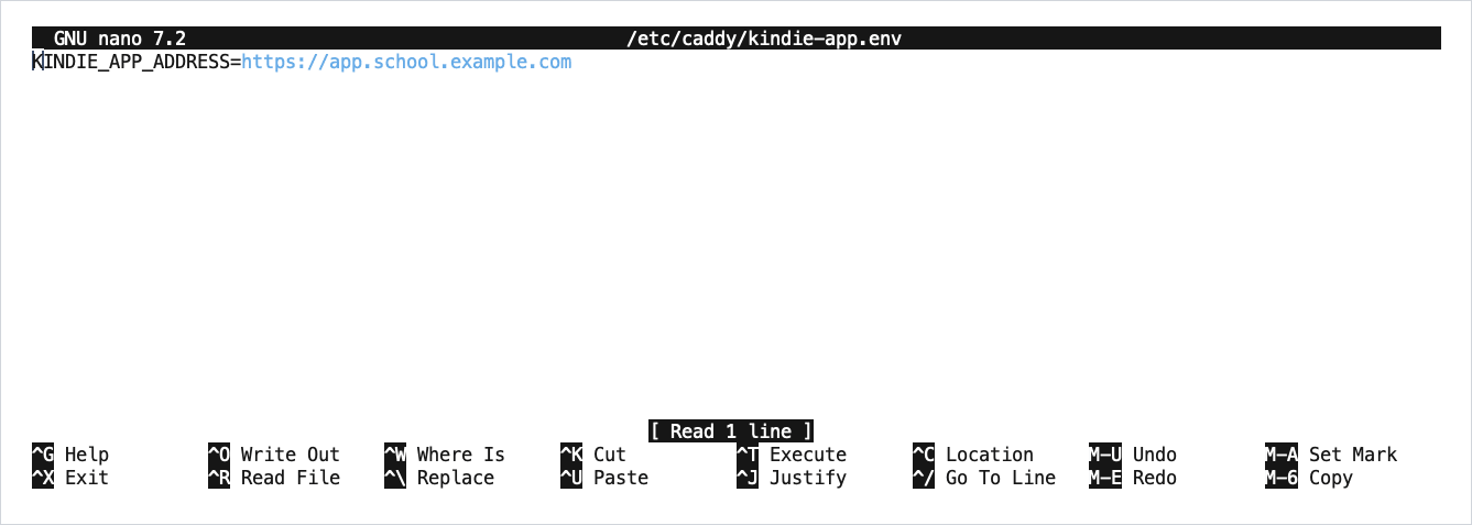 The editor (nano) shows the one line of the file, with the placeholder address.