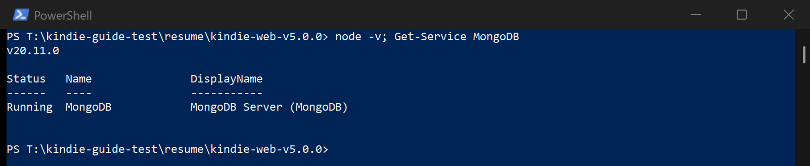 Checking Node.js 20 and MongoDB on Windows